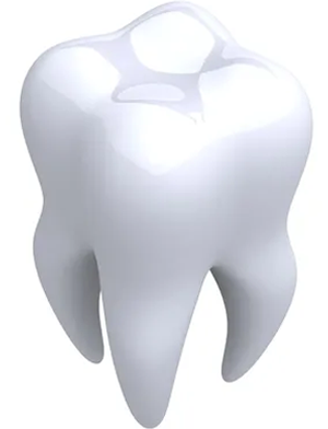The Dental Blogs Logo